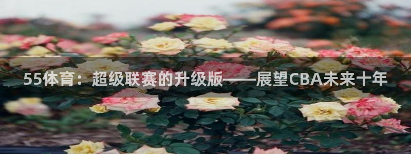 人人直播 足球