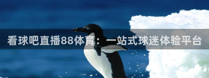 人人体育免费直播