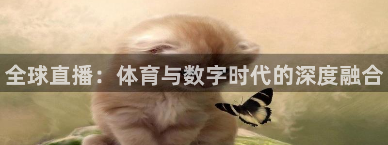 人人体育直播在线观看
