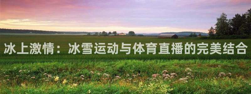 nba直播在线观看免费人人体育