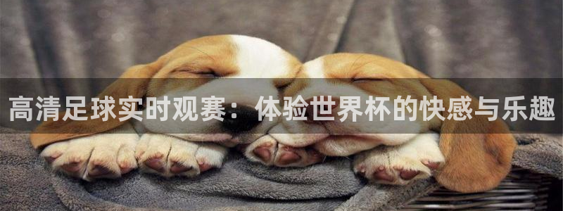体育新闻
