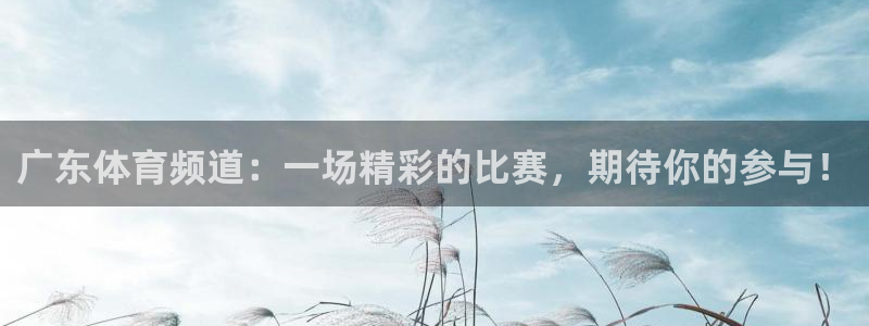 人人体育篮球直播app