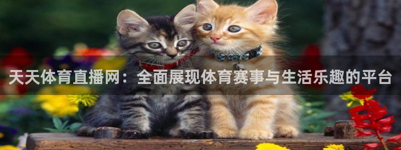 人人直播足球比赛